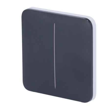 SOLOBUTTON-2G-GRA